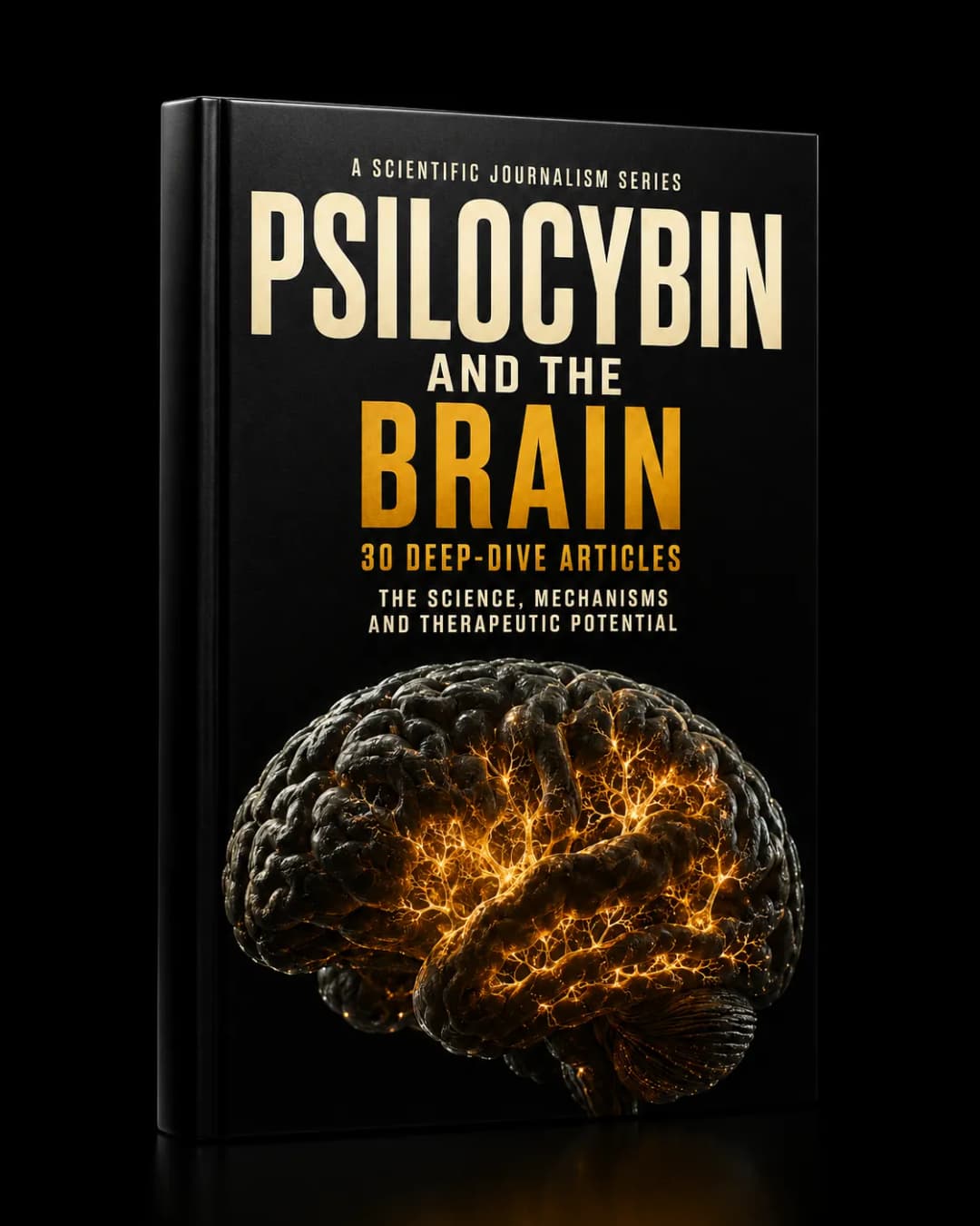 Psilocybin and the Brain — The Digest